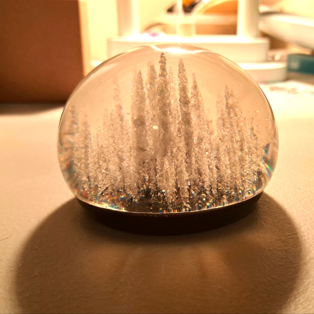 Tarax Infinity Collection Lucite Paper Weight With White Trees Design